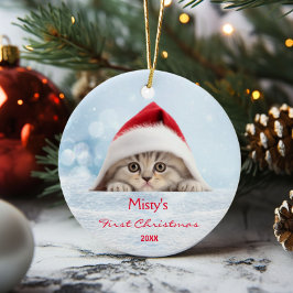 Ornamento De Cerâmica Gato de Santa Hat, Gato Escocês, Gato e Gato, Pers