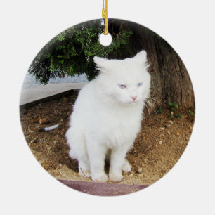 Ornamento De Cerâmica Gato defecando