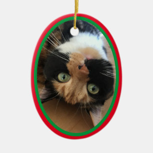 Ornamento De Cerâmica Gato Em Memória Das Férias De Natal Vermelho Verde