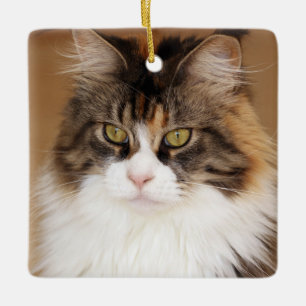 Ornamento De Cerâmica Gato Fluffy Maine Coon