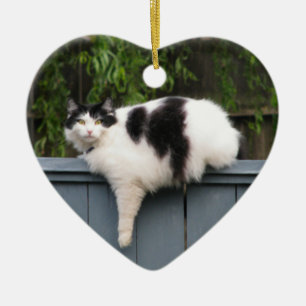 Ornamento De Cerâmica Gato gordo na cerca