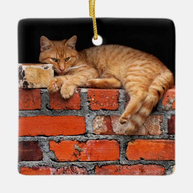 Ornamento De Cerâmica Gato na Parede Brick (Frente)