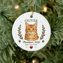Gato Persa Laranja Personalizado no Natal
