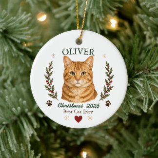 Ornamento De Cerâmica Gato Persa Laranja Personalizado no Natal