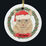 Ornamento De Cerâmica Gato Personalizado de Pomo Laranja<br><div class="desc">Faça a lista legal este ano com um ornamento personalizado do seu casulo de pinheiro laranja doce! Para os presentes mais doces,  emparelhe-o com um impressão de arte correspondente ou outro item da minha coleção!</div>