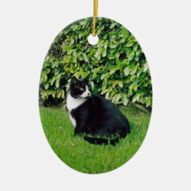 Ornamento De Cerâmica Gato preto e branco (Frente)
