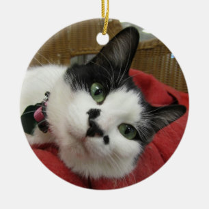 Ornamento De Cerâmica Gato preto e branco