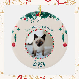 Ornamento De Cerâmica Gato siamês