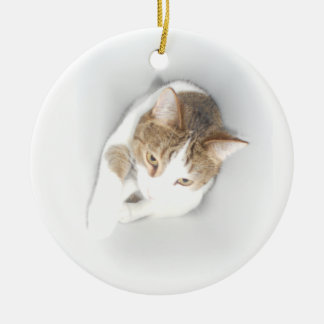 Ornamento De Cerâmica Gato surreal na luz