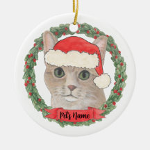 Gato Tabby Laranja Personalizado