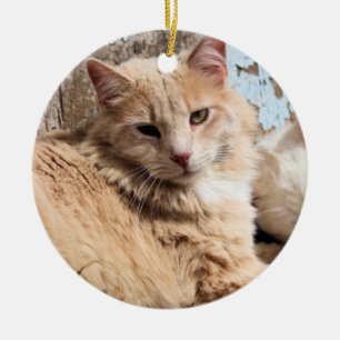 Ornamento De Cerâmica Gatos