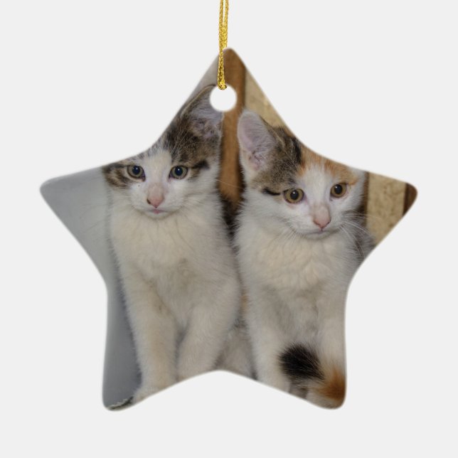 Ornamento De Cerâmica Gatos De Bebê (Frente)