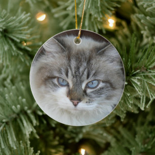 Ornamento De Cerâmica Gatos personalizados de fotos de animais de estima