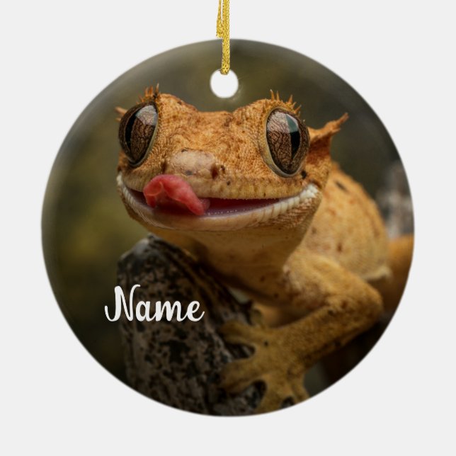 Ornamento De Cerâmica Gecko Lizard preso personalizado (Traseira)
