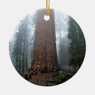 Ornamento De Cerâmica General Sherman Tree, Sequoia, CA
