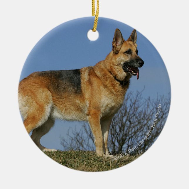 Ornamento De Cerâmica German shepherd de cabelos compridos 2 de Brown (Frente)