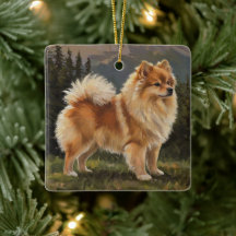 German Spitz