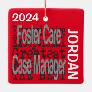 Ornamento De Cerâmica Gestor de Casos do Foster Care Extraordinário PERS