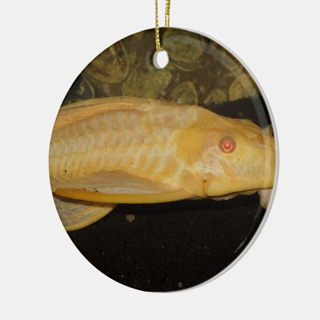 Ornamento De Cerâmica Gibbiceps (Esquerda)