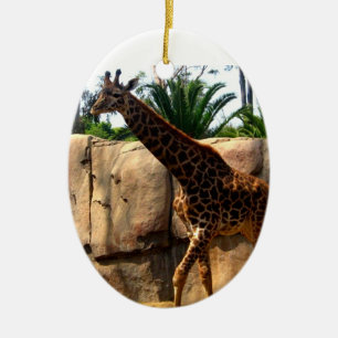 Ornamento De Cerâmica Girafa