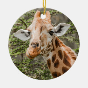 Ornamento De Cerâmica Giraffe Browsing