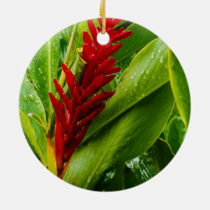 Ornamento De Cerâmica Glistening Red Ginger Flower and Rain-Kissed Leave