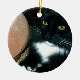 Ornamento De Cerâmica Globo e gato de sal psíquicos - fotografia
