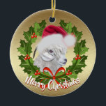 Ornamento De Cerâmica GOAT Angora Goat Doe Santa Hat Natal<br><div class="desc">Linda pintura de Angora Goat Doe Personalizada por uma guitarra do GetYerGoat™ Todos apunhalados em seu Chapéu Santa, cercada por uma coroa de Natal verde de Holly em um fundo de ouro de um lado e o fundo de Silver Bokeh do outro lado - Personalize a Saudação que diz Feliz...</div>
