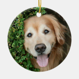 Ornamento De Cerâmica Golden retriever atrás de um sorriso