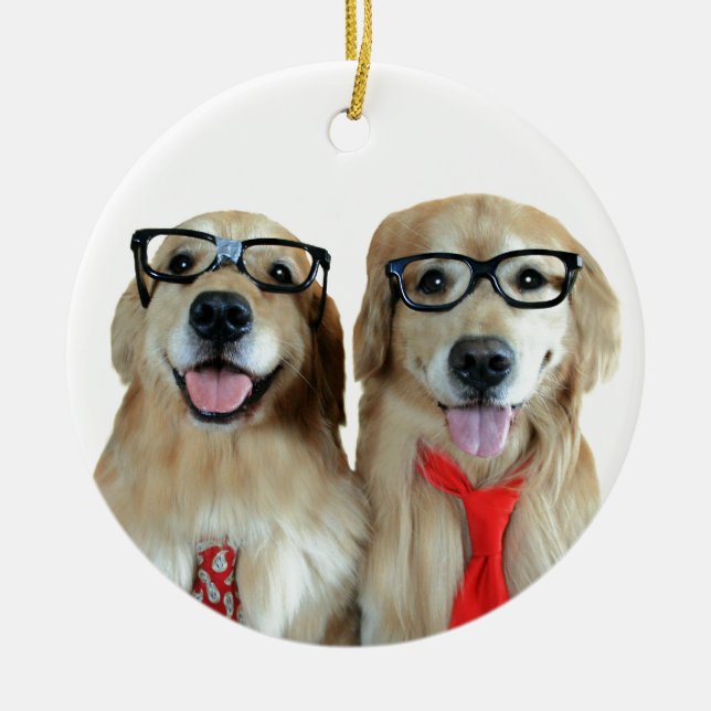 Ornamento De Cerâmica Golden retriever com vidros do nerd (Frente)