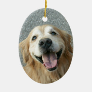 Ornamento De Cerâmica Golden retriever de sorriso