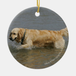 Ornamento De Cerâmica Golden retriever na água