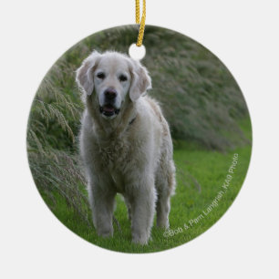 Ornamento De Cerâmica Golden retriever que funciona 2