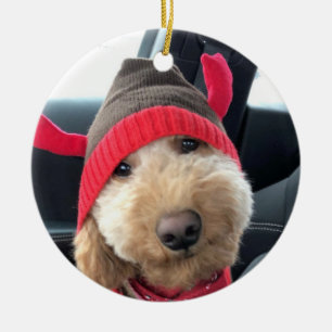 Ornamento De Cerâmica Goldendoodle bonitinho em sua roupa de Natal
