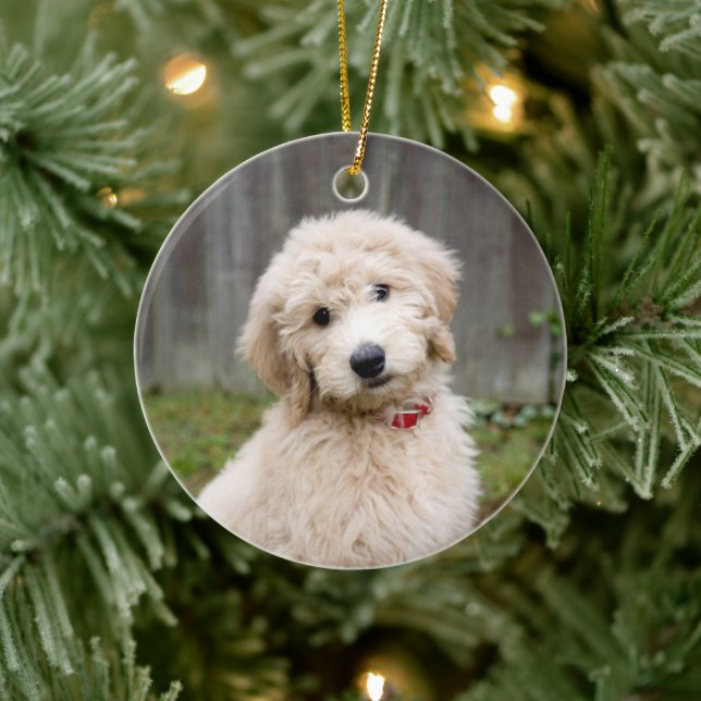 Ornamento De Cerâmica Goldendoodle Puppy Senta-Se Em Grama (Árvore)