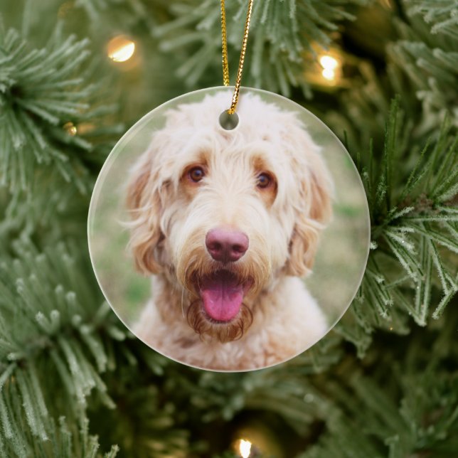 Ornamento De Cerâmica Goldendoodle sorrindo (Árvore)