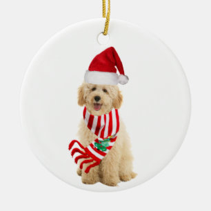 Ornamento De Cerâmica Goldendoododododle com o Natal do Chapéu
