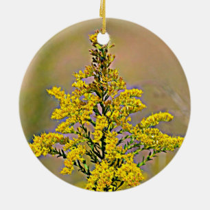 Ornamento De Cerâmica Goldenrod de Nebraska