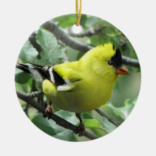 Ornamento De Cerâmica Goldfinch