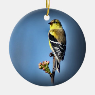Ornamento De Cerâmica Goldfinch americano