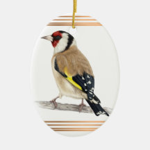 Goldfinch enquadrado com linhas douradas