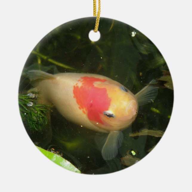 Ornamento De Cerâmica Goldfish Custom Birth (Frente)