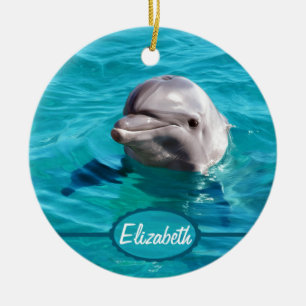 Ornamento De Cerâmica Golfinho na foto da água azul
