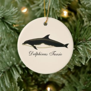 Ornamento De Cerâmica Golfinhos Delphinus Tursio, Animais Marinhos Antig