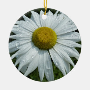 Ornamento De Cerâmica Gotas de chuva na margarida II