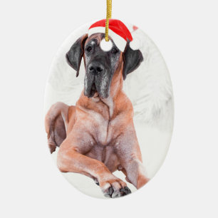 Ornamento De Cerâmica Grande Cachorro Dane Que Feliz Natal