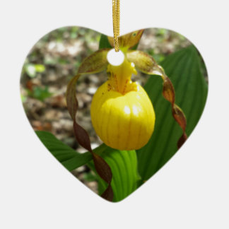 Ornamento De Cerâmica Grande Cypripedium amarelo da senhora deslizador