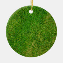 Grass Lawn