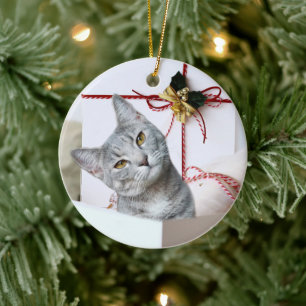 Ornamento De Cerâmica Gray Tabby Cat Christmas