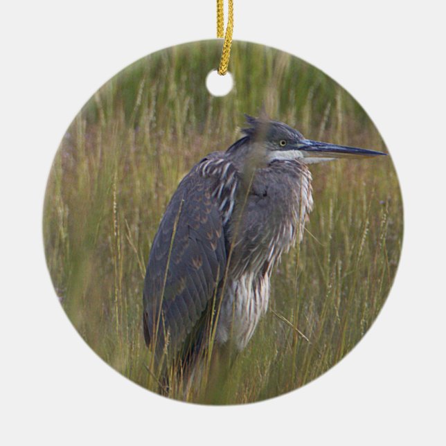 Ornamento De Cerâmica Great Blue Heron Bird Ornament (Frente)